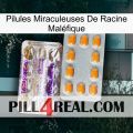Pilules Miraculeuses De Racine Maléfique new12